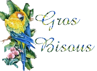 "Gros bisous" - Perroquet jaune et bleu...