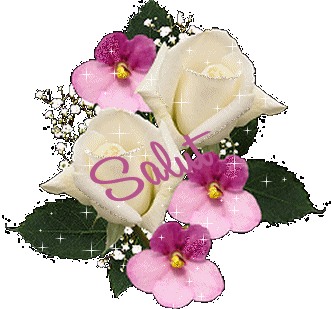 "Salut" - Roses blanches et Saint-Paulia rose...