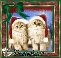 Deux chaton de Noël pour une signature 