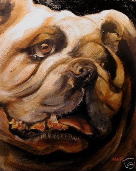 "Le vieux bulldog" par MAREK...