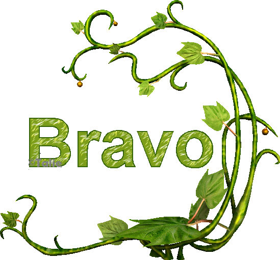 "Bravo" - Feuillages...