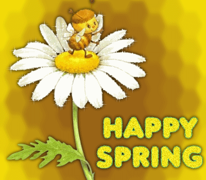 "Happy Spring" - Petite abeille au coeur d'une marguerite