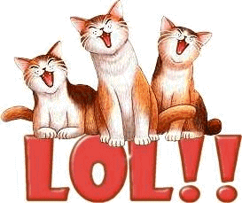 3 chats qui semblent rire "Lol!!"...