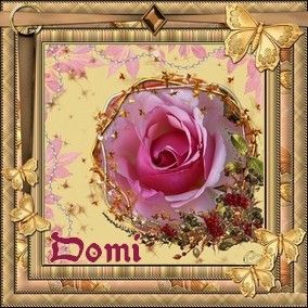 "Domi"/Rose et papillons d'or - Merci... CHRIS...