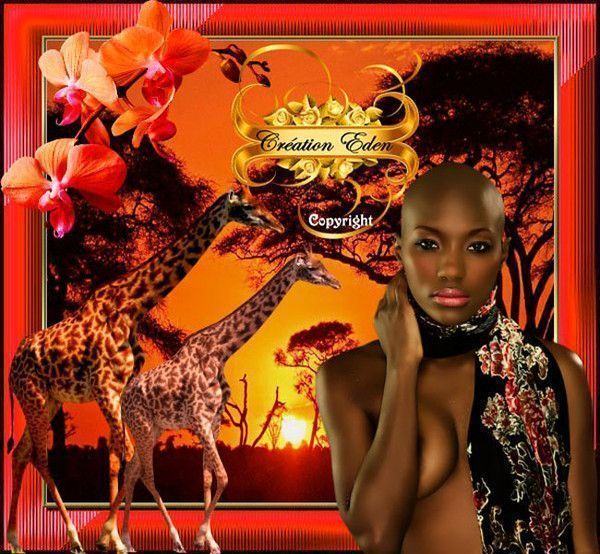 "Beautés africaines" par... LARA...