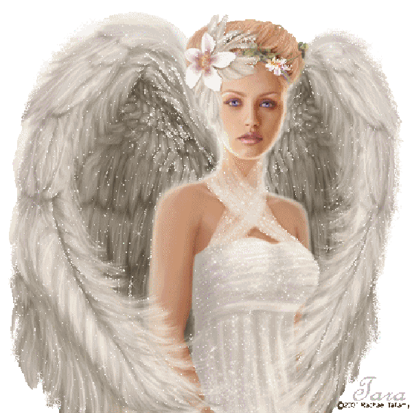 Bel ange blanc...