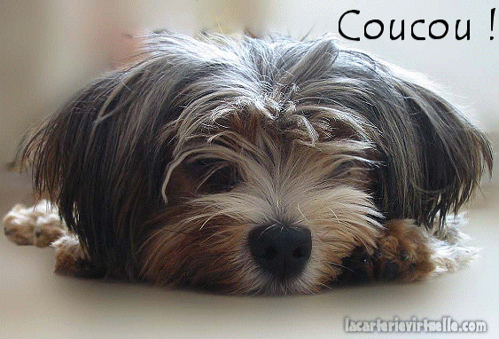 Sagement couch "Coucou!"...