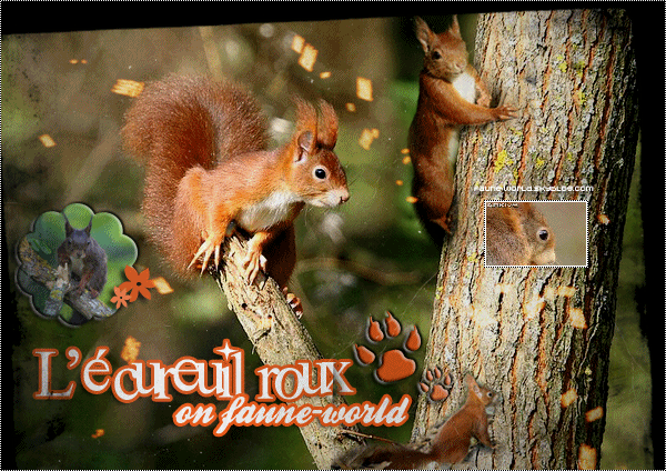 "L'écureuil roux"...
