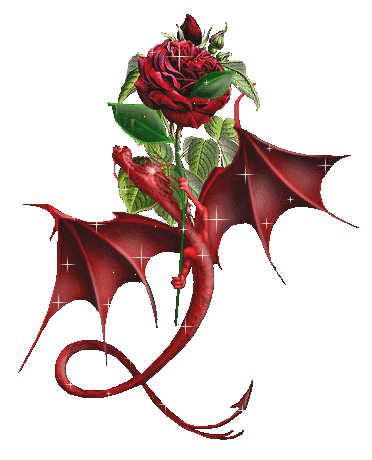 Dragon à la rose rouge...