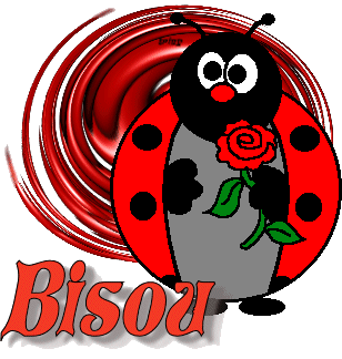 Coccinelle tenant une rose "Bisou"...