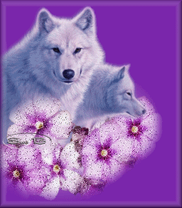 Loups blancs et fleurs...
