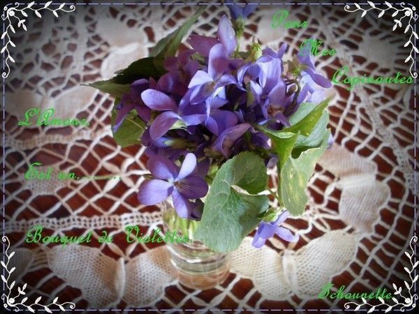 Bouquet de violettes - Merci... TCHOUNETTE...