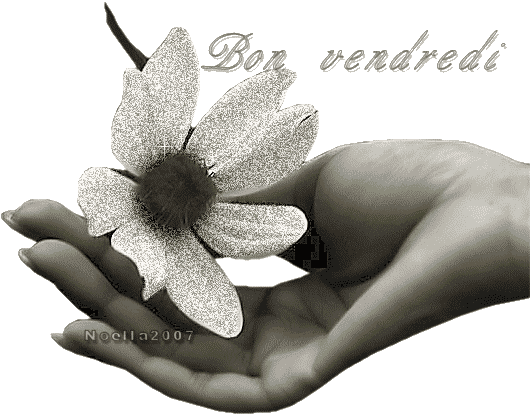 "Bon vendredi" - Une fleur dans la main...
