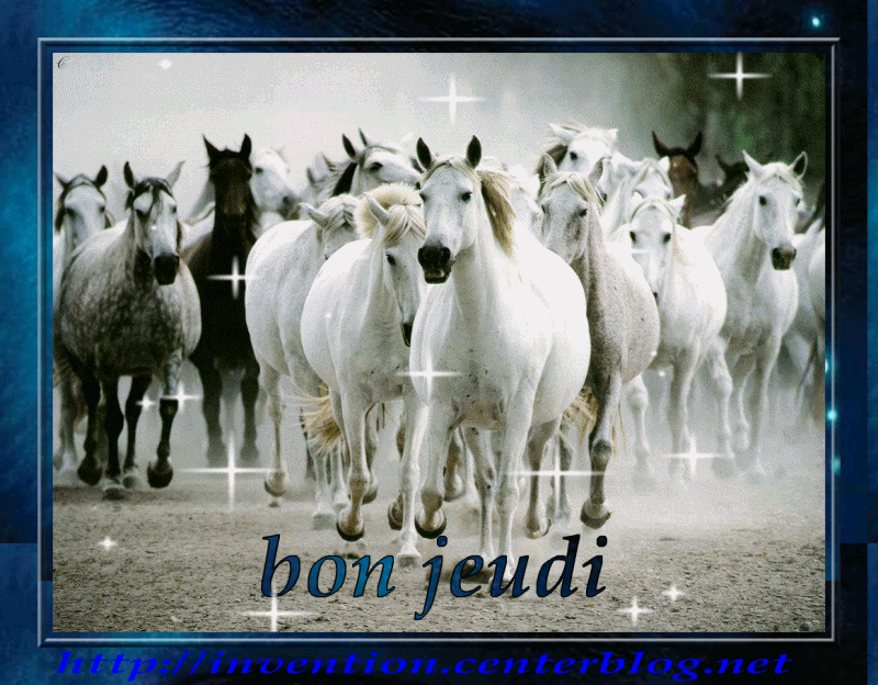 Une horde de chevaux camarguais "Bon jeudi"...
