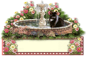 Chat dans la fontaine (blinkie)...