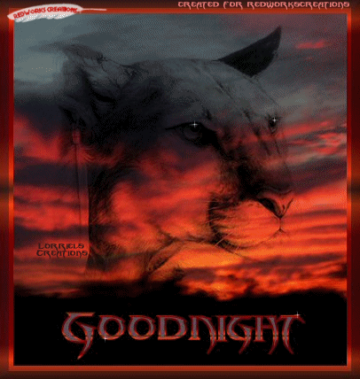 "Good night" - Puma en transparence sur un coucher de soleil
