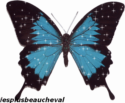 Le merveilleux papillon bleu de MA CHOUPINETTE/AUDREY...