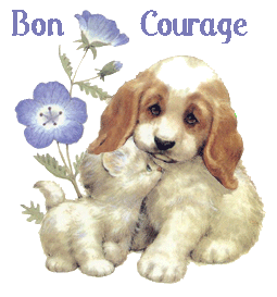 "Bon courage" - Chiot et chaton tendresse...