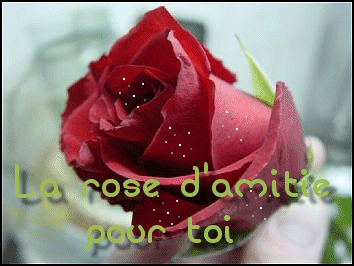 "La rose d'amitié pour toi"...