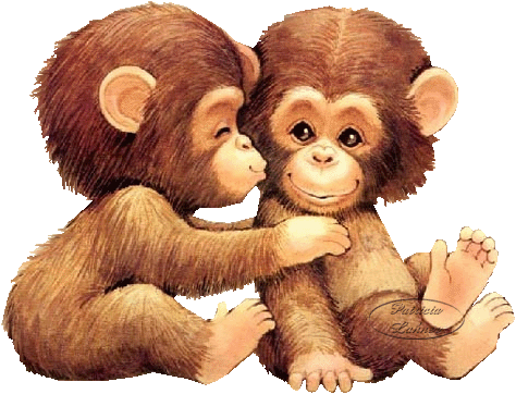 Deux singes échangent un baiser...