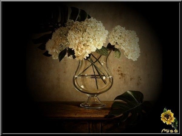 Bouquet d'hortensias KDO de... MA MISS D'AMOURAMWAAA