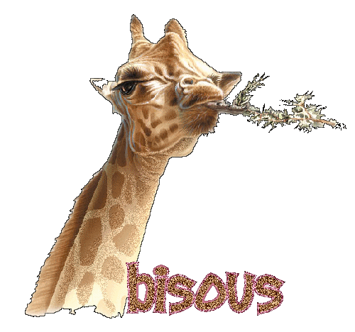 "Bisous" - Girafe...