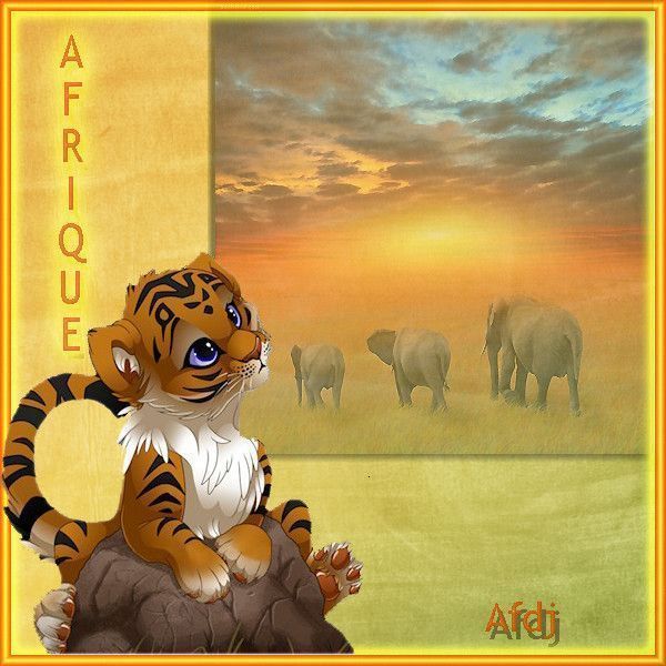 "Afrique" - Regard d'un lionceau sur la savane...