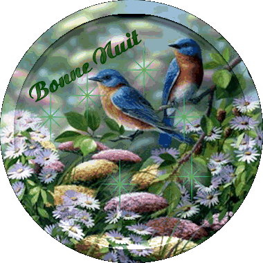 "Bonne nuit" - Assiette/Oiseaux bleus...
