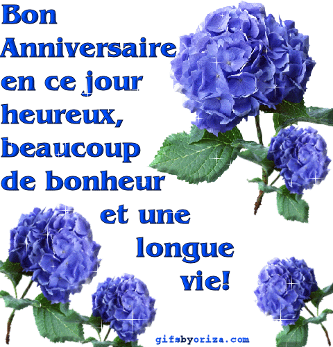 "Bon anniversaire" - Hortensia bleu...