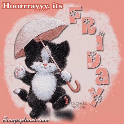 "Hoorrrayyy, it's Friday" - Chaton heureux...