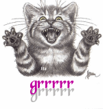 Colère de chaton "Grrrrr"...