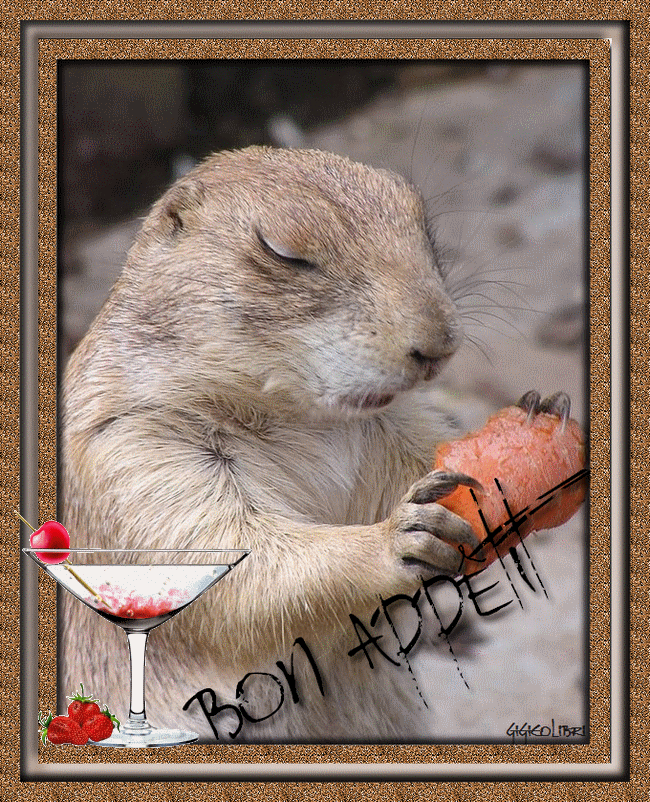 "Bon appétit" - Marmotte savourant un bout de carotte...