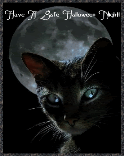 "Have A Safe Halloween Night!" - Un chat au clair de lune