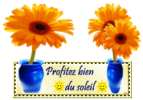 "Profitez bien du soleil" - Vases bleus et fleurs oranges...