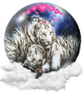 Globe couple tigres blancs