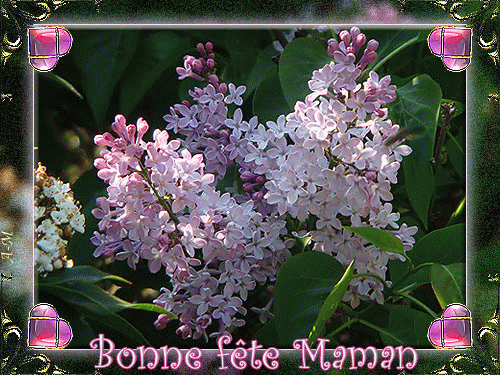 "Bonne Fête Maman" - Avec du lilas...