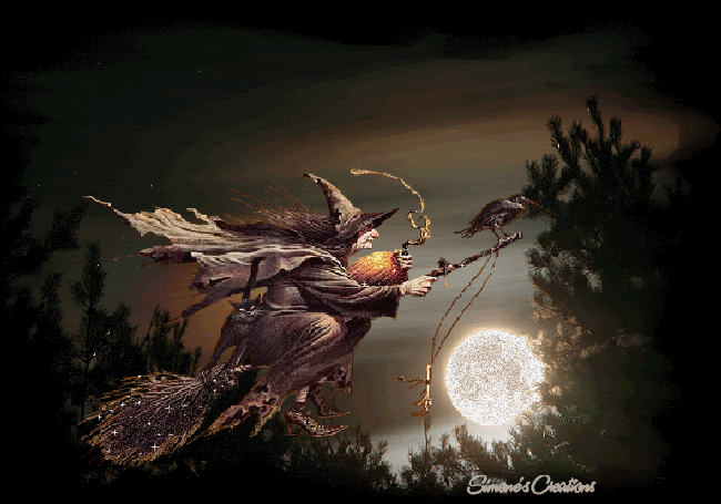 Vol de la sorcière par un soir de pleine lune...