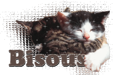"Bisous" - Deux chats enlacés...