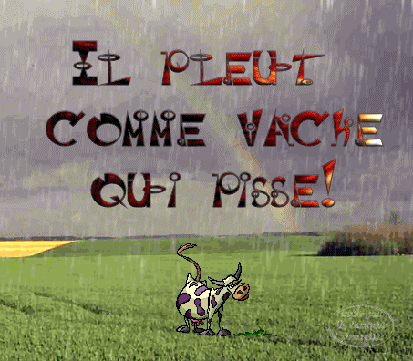 "Il pleut comme vache qui pisse!" - Expression illustrée...