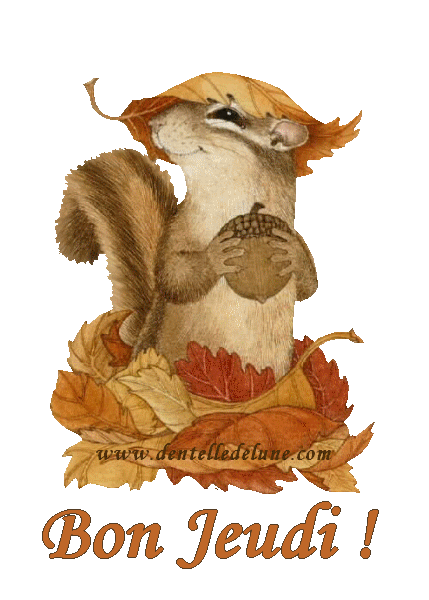 "Bon jeudi!" - Ecureuil et son gland sous les feuilles...