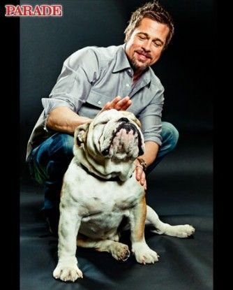 Brad Pitt et son bull "D'Jack"...