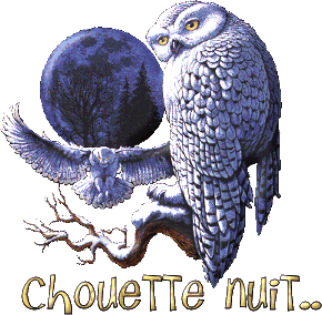 "Chouette nuit..." - Chouette...