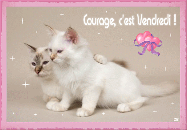 "Courage, c'est Vendredi!" - Chatons et coeurs...