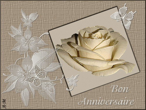"Bon Anniversaire" - Rose changeante, papillon et dentelle