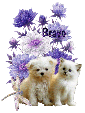 "Bravo" - Chiot et chaton blancs devant un bouquet mauve...