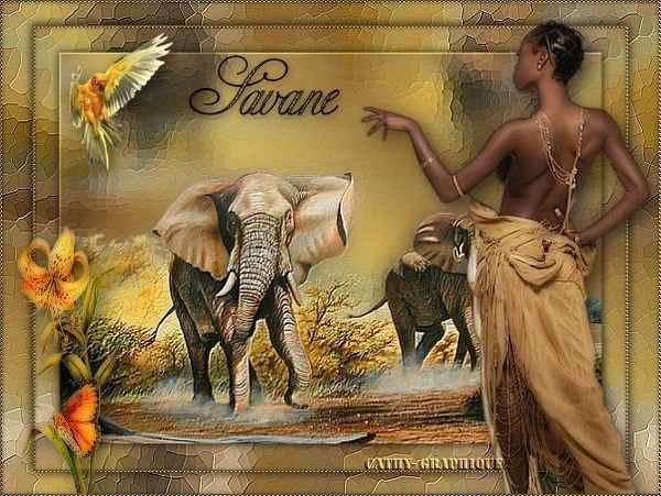 "Savane" - Le domaine des éléphants...