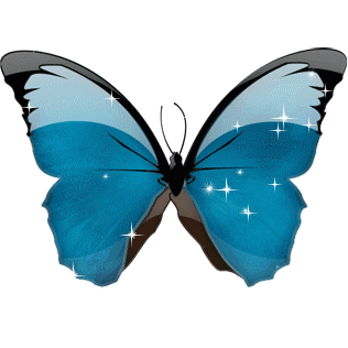 Papillon bleu dégradé...