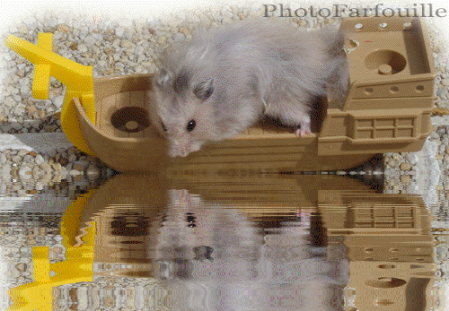 Un hamster échoué sur un bateau style playmobil...