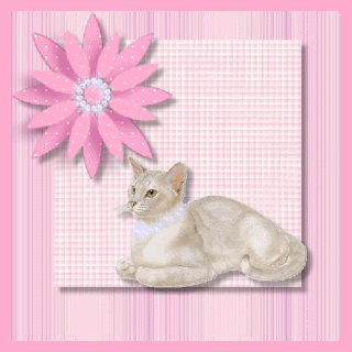 Chat au collier de perles et fleur rose...