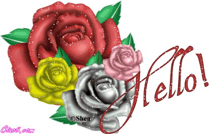"Hello!" - Roses multicolores...